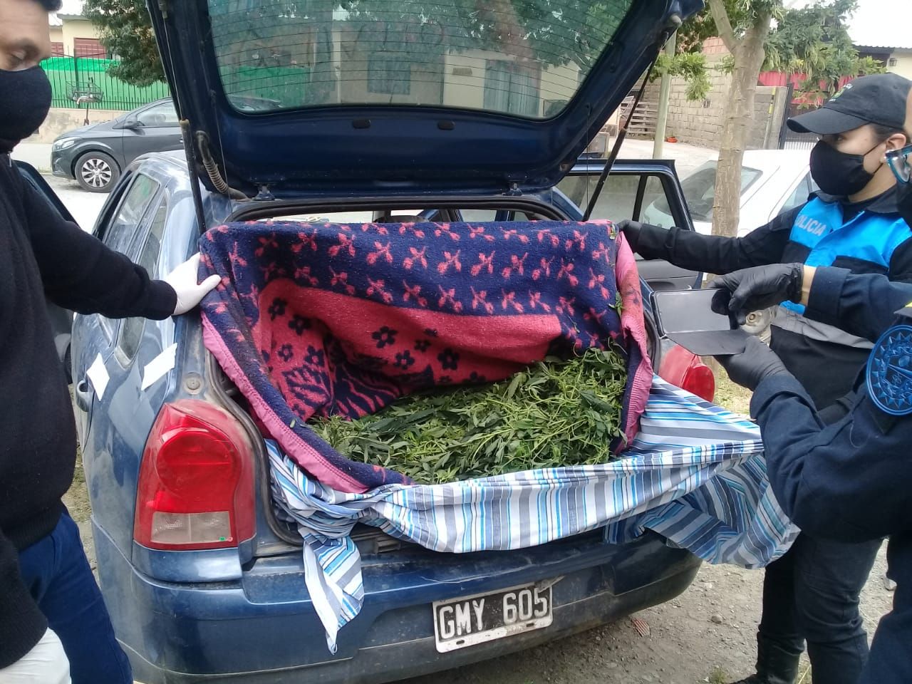 Robo y sorpresa, un baúl de cannabis (Policía )