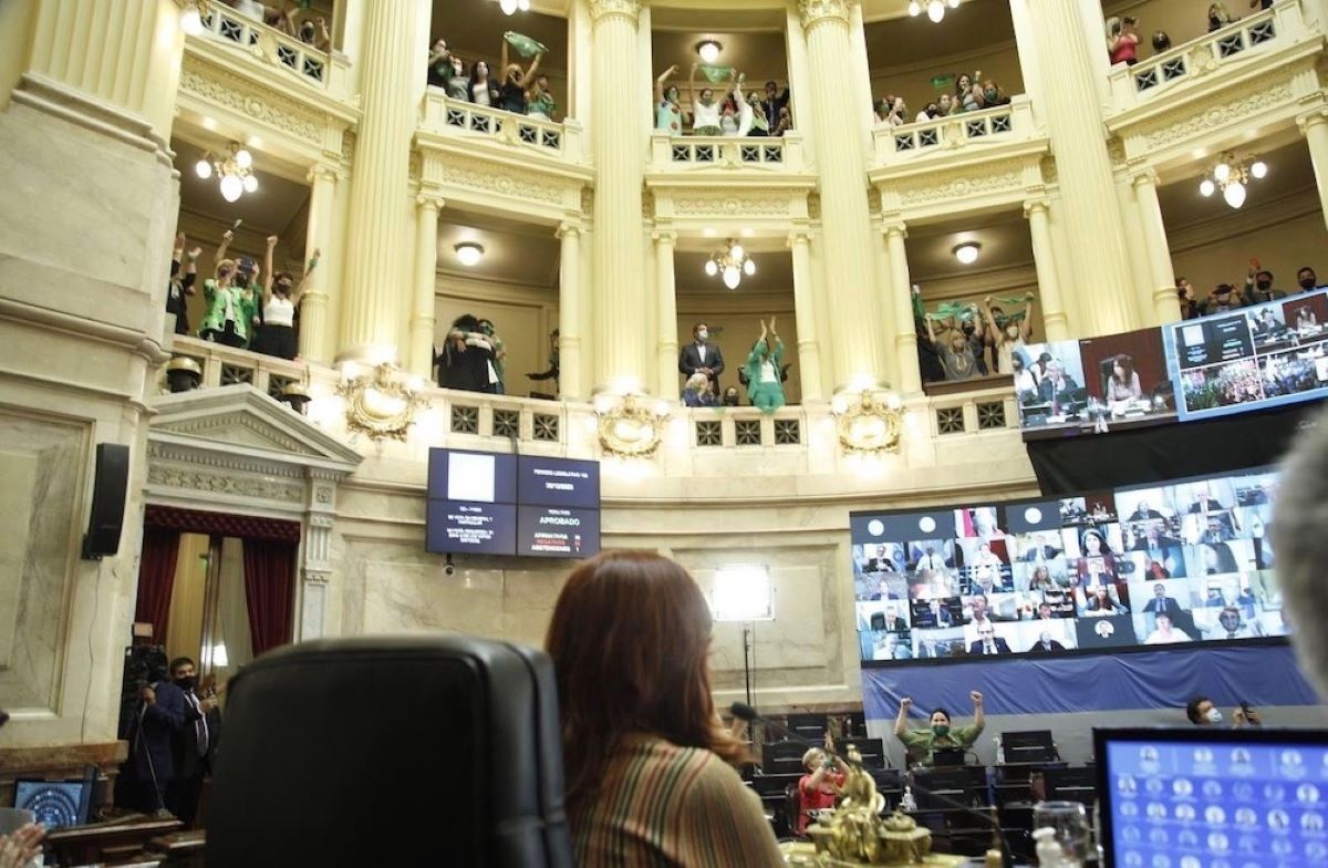 El Senado votó la ley de aborto legal en Argentina (Telam)
