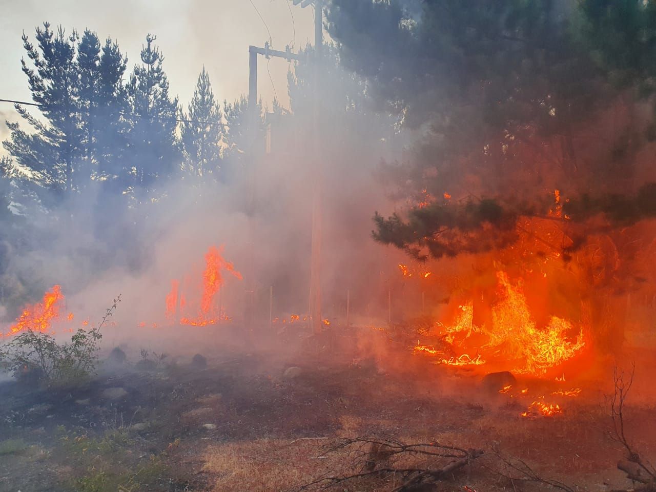 Incendio en Trevelin por un pájaro que chocó un transformador