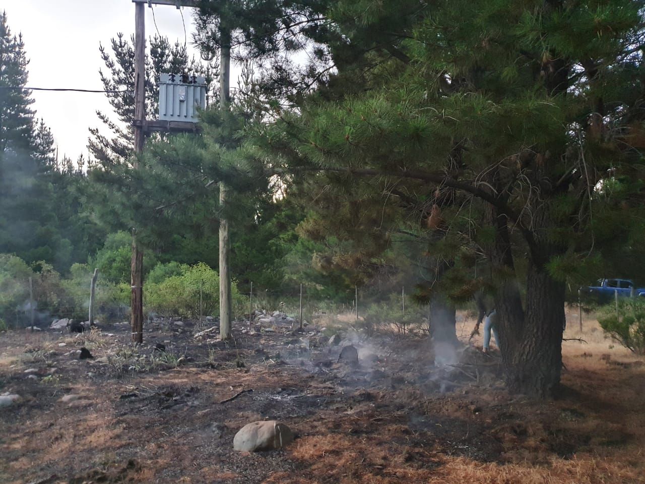 Incendio en Trevelin por un pájaro que chocó un transformador