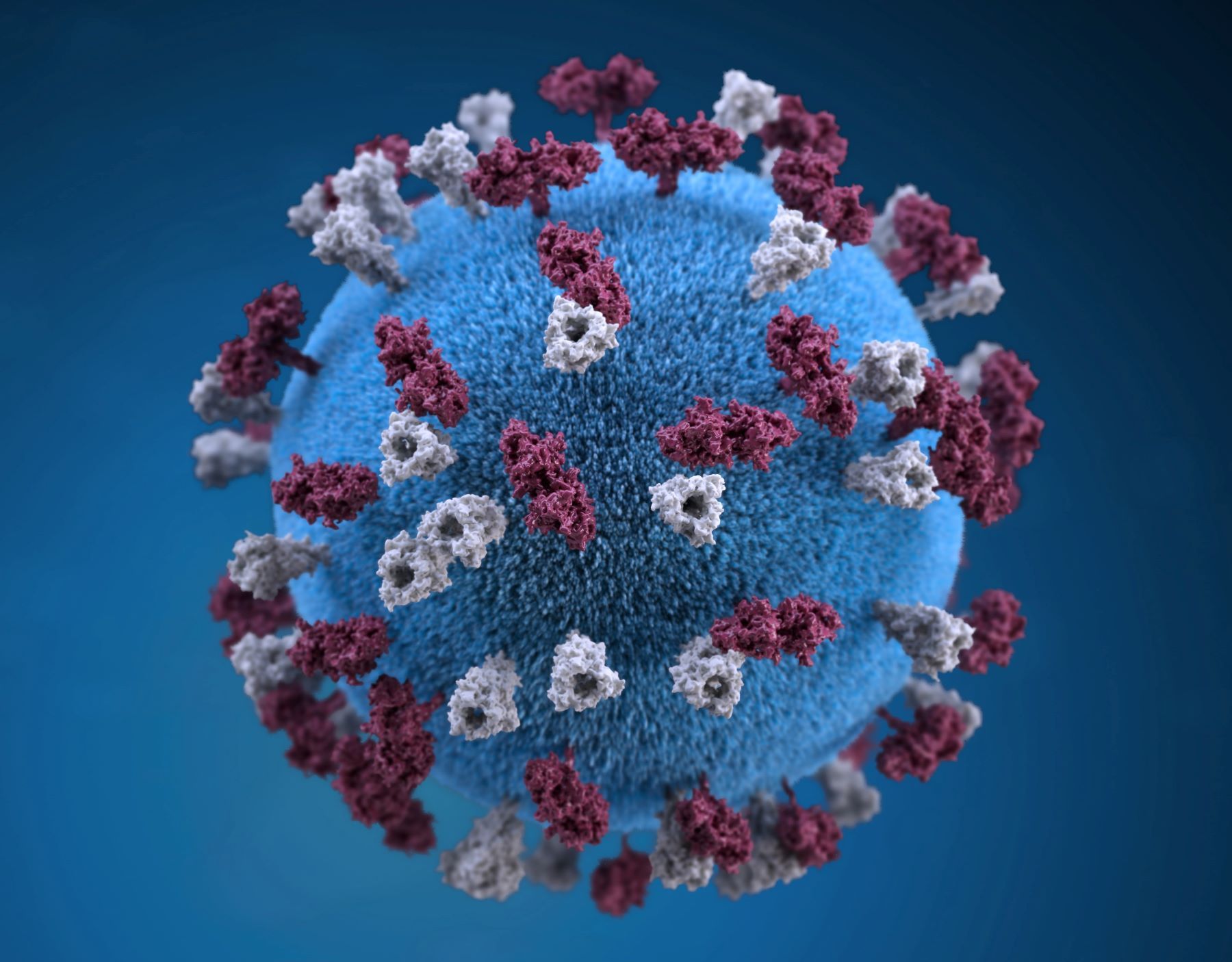 Reporte COVID del Ministerio de Salud de Chubut (cdc-bkc-m0iZ4Sk-unsplash.jpg)