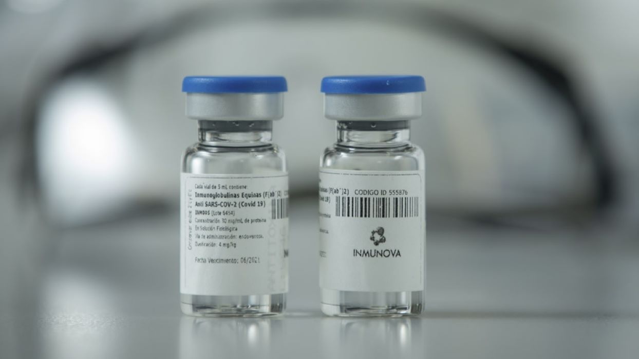 Distribuyen el suero equino hiperinmune aprobado por ANMAT (Telam)