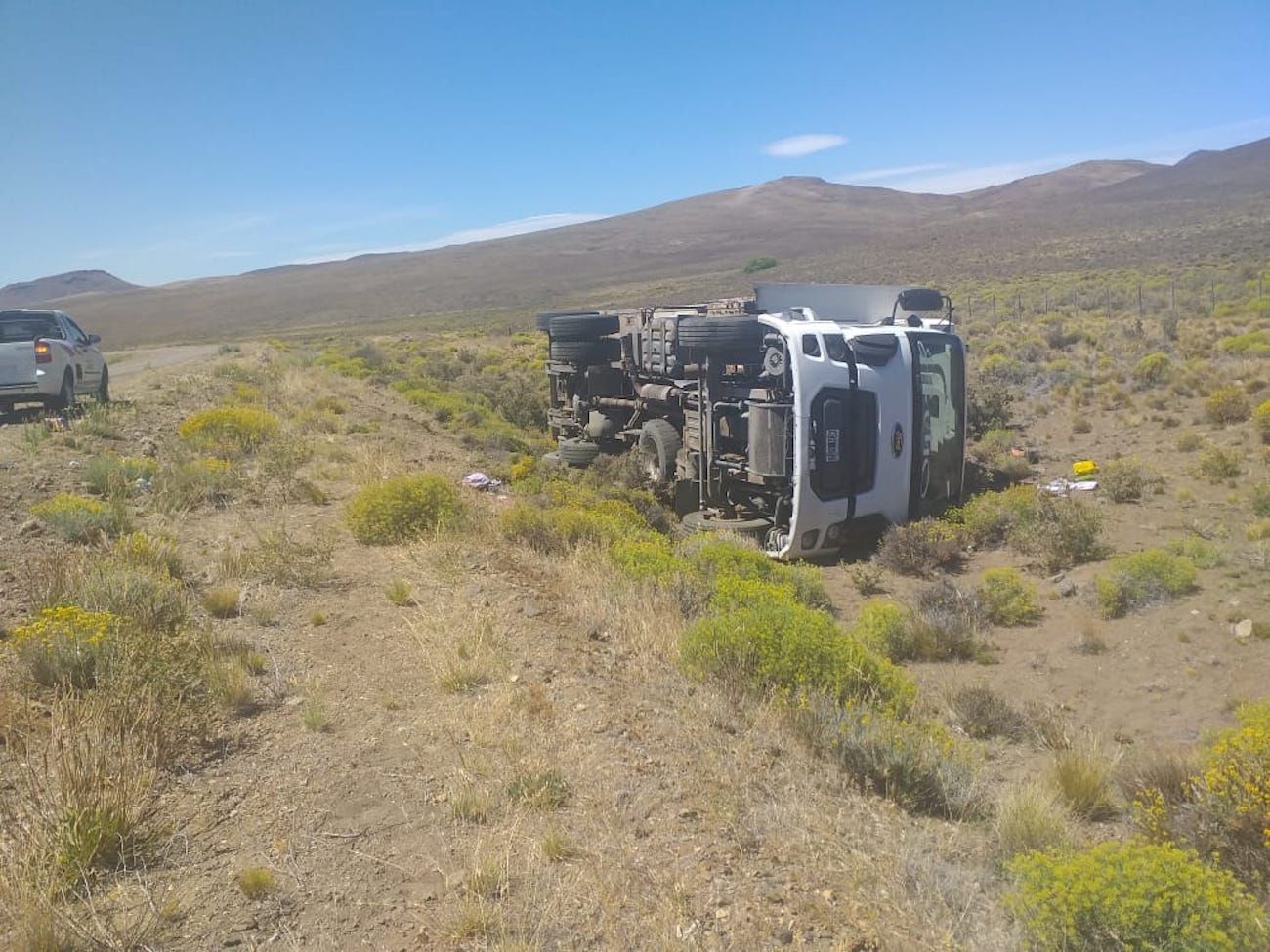 Un camión volcó en la ruta y afortunadamente no hubo lesionados (Policía del Chubut)