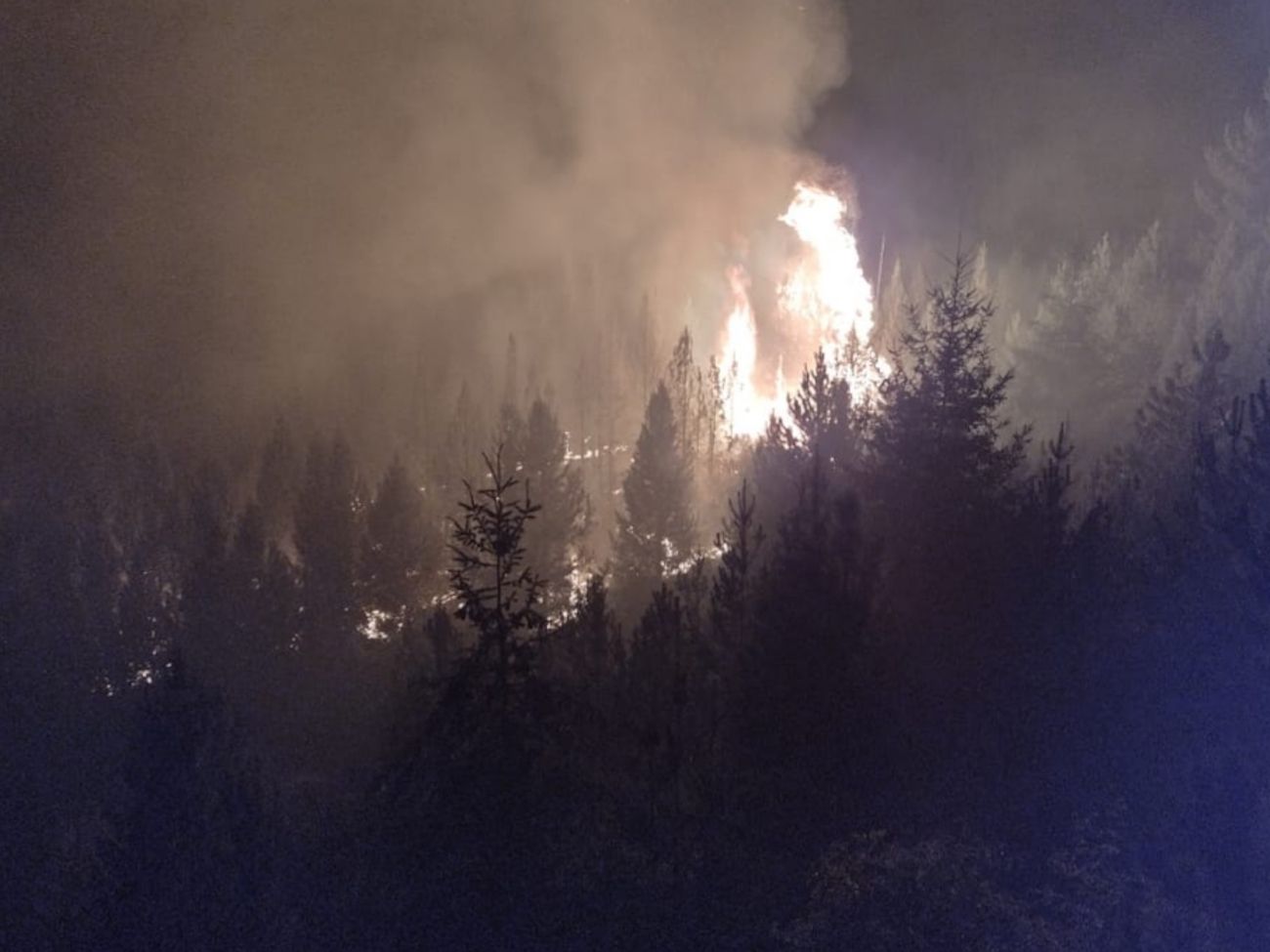 Brigadistas combaten Incendio de bosques en Epuyén (Gobierno del Chubut)
