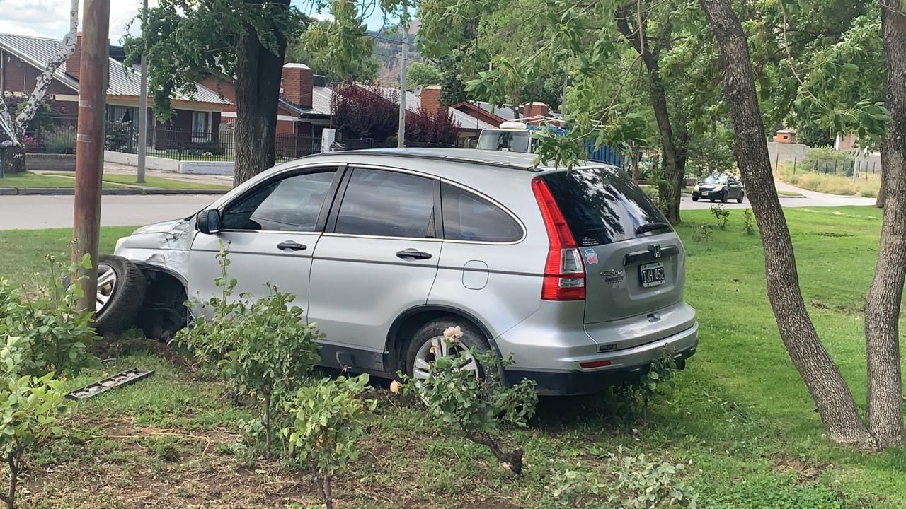 Por esquivar una plancha de telgopor impactó contra una palma