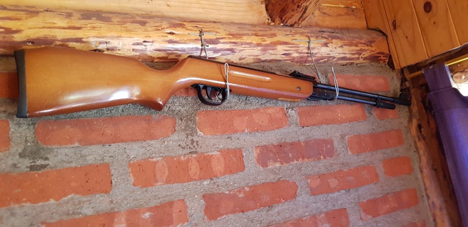 En Cerro Centinela, personal Policial secuestró 17 plantas de marihuana, algunas armas y municiones. (Policía del Chubut)