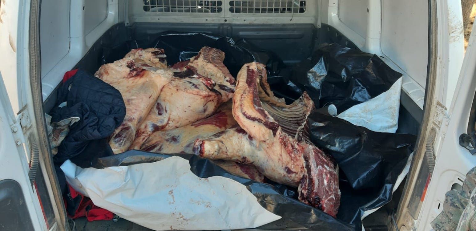 Trevelin: Llevaban en una camioneta un animal faenado (Policía del Chubut)