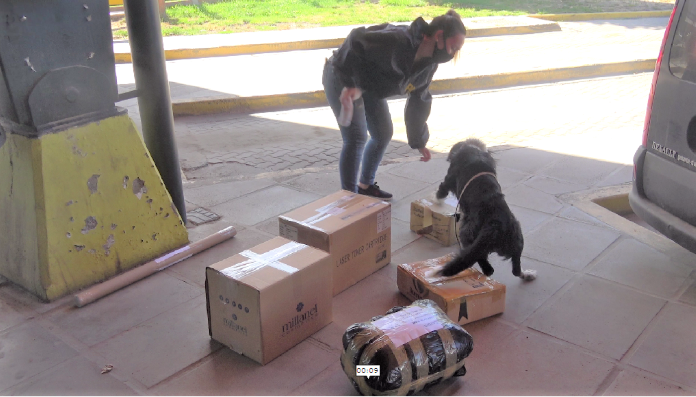 Encontraron marihuana en una encomienda