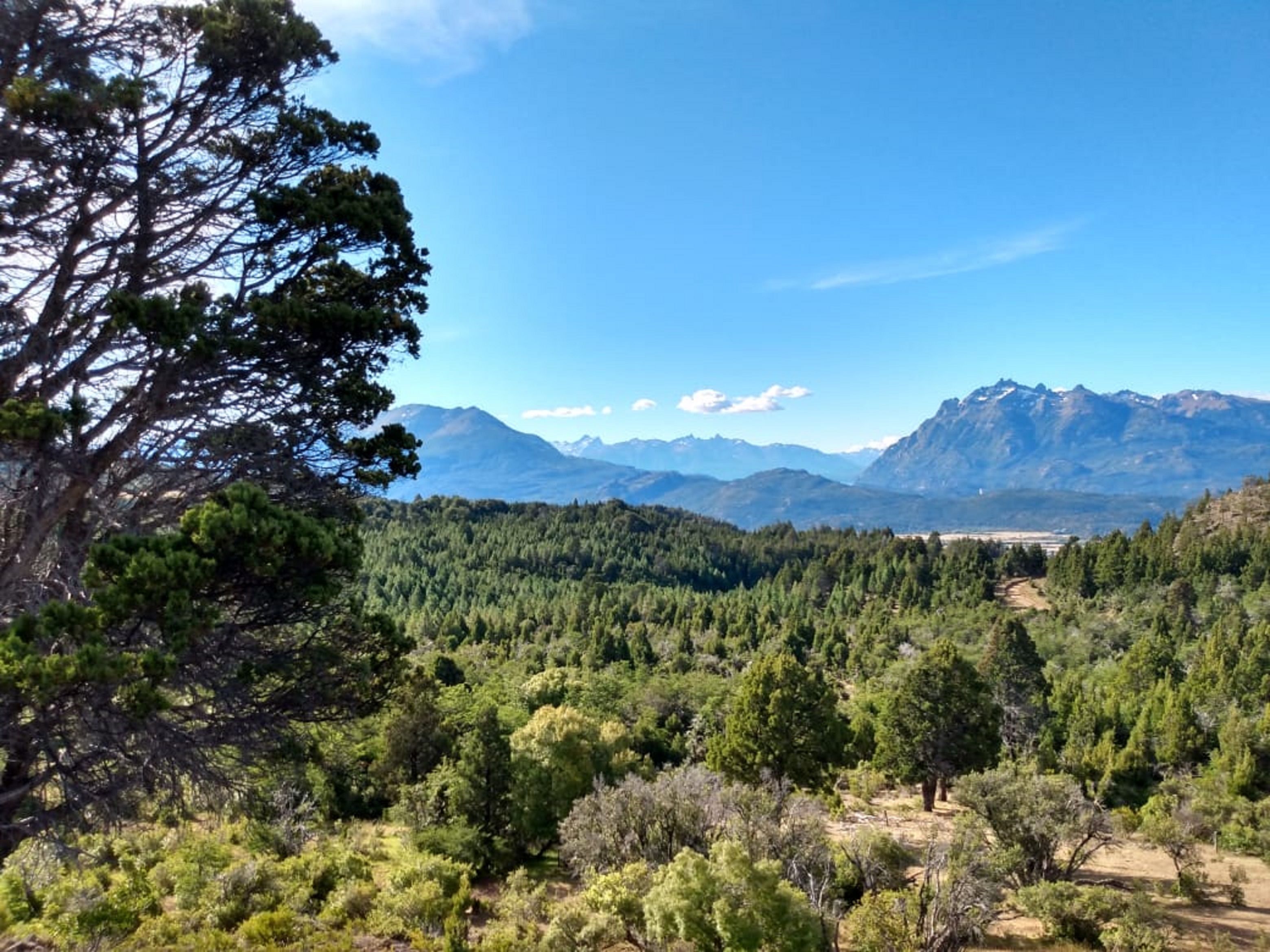 Domingo con clima agradable en Esquel, máxima de 23º