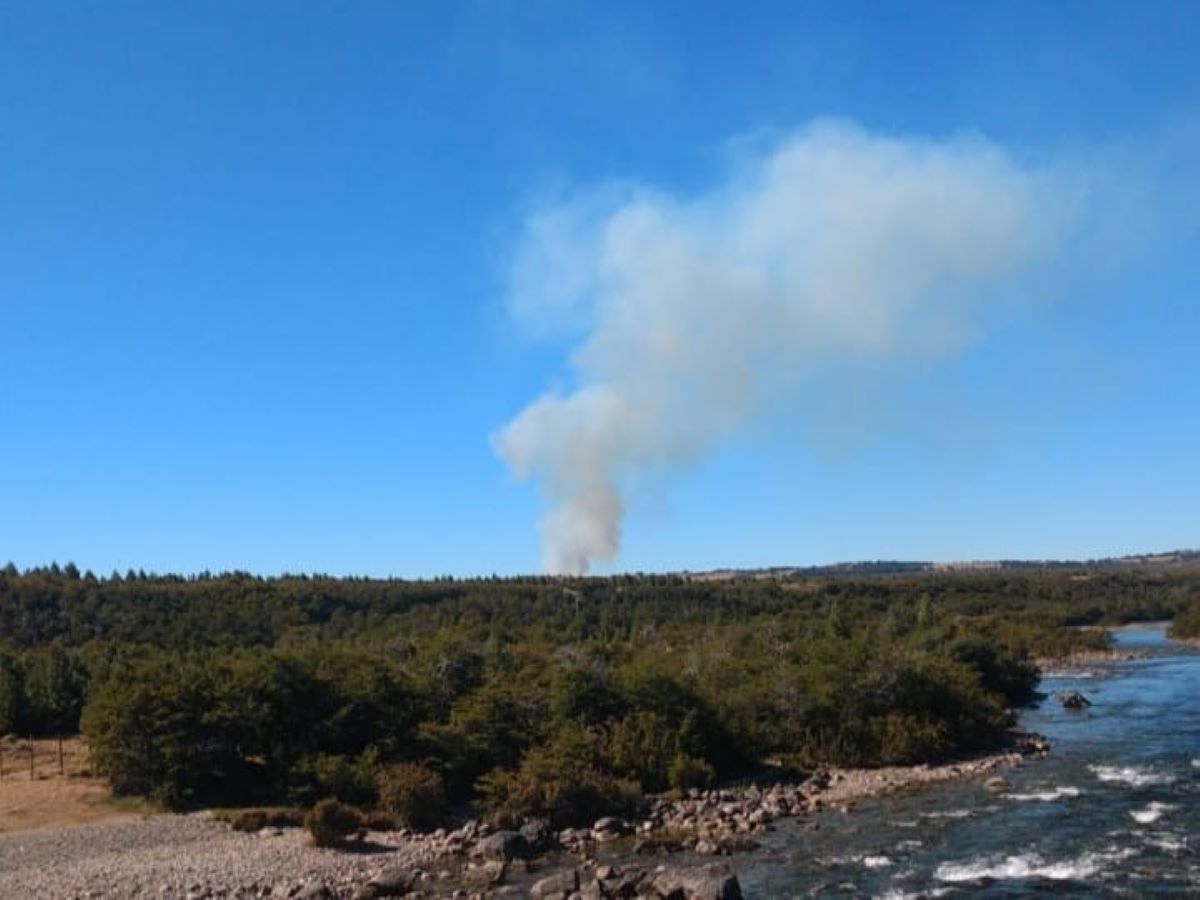 Incendio en Atilio Viglione