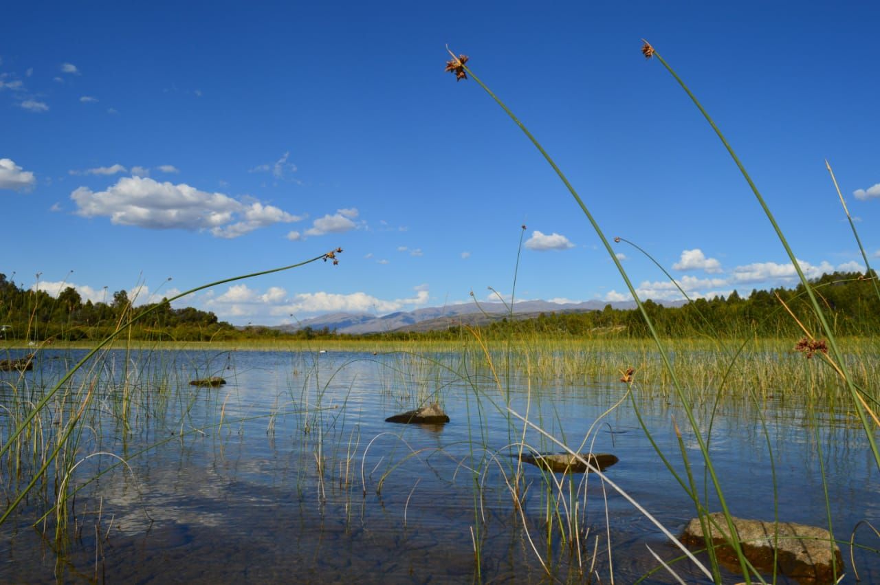 Clima en Esquel