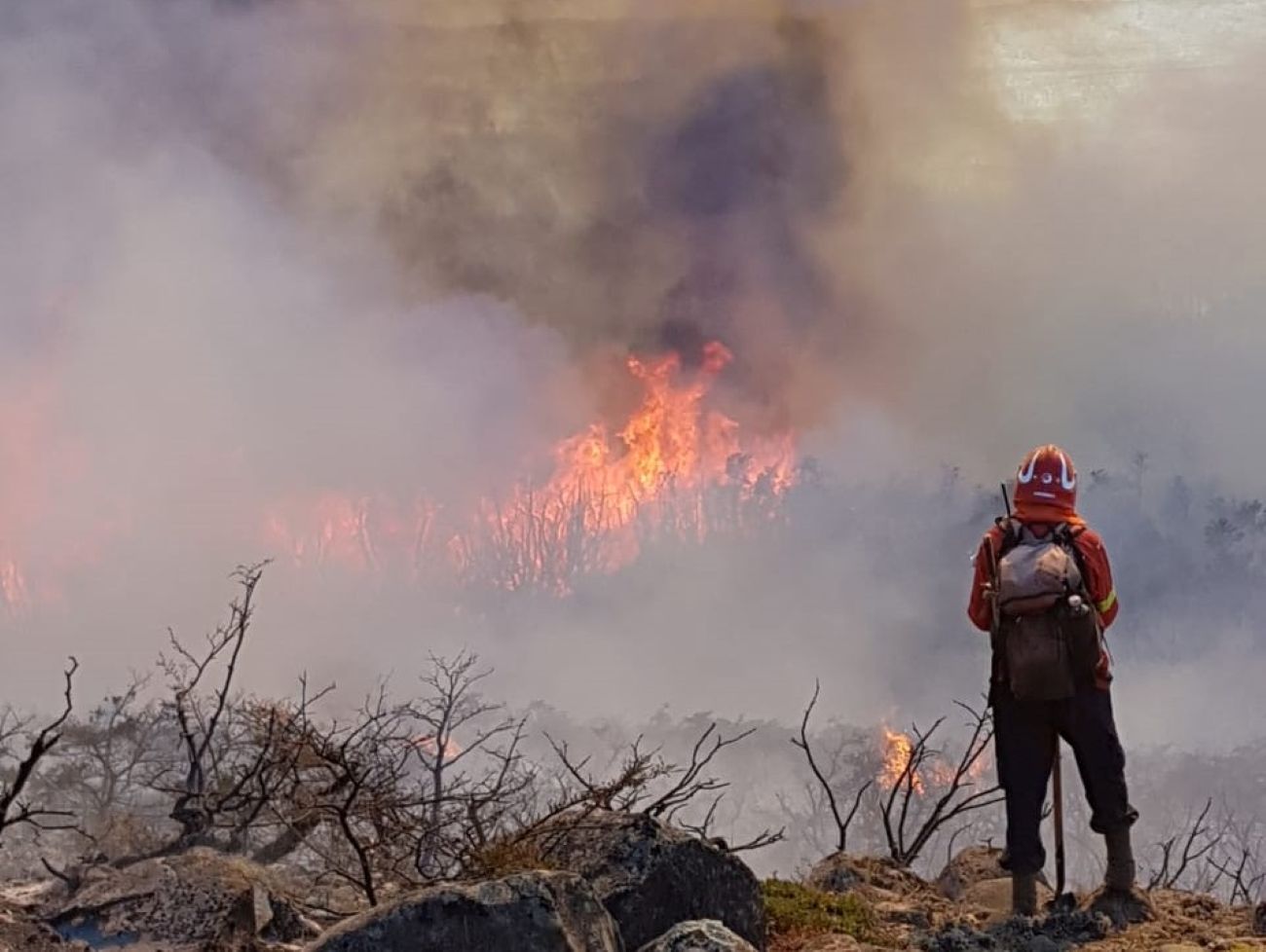 Impactantes imágenes del incendio próximo a Corcovado