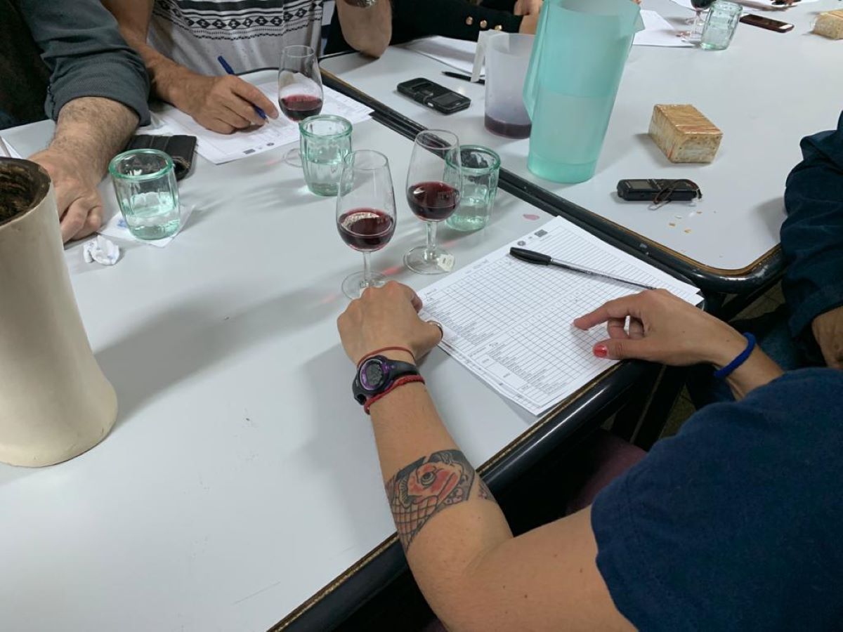 Coordinan prácticas profesionalizantes para egresados de Enología