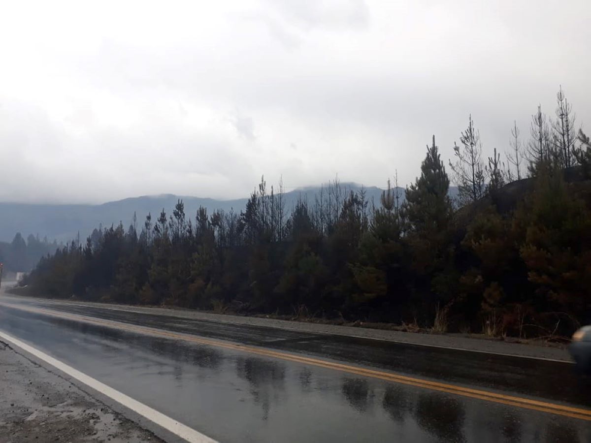 Incendios: Así esta la situación a primera hora de la tarde en la Comarca (Radio 3 Cadena Patagonia)