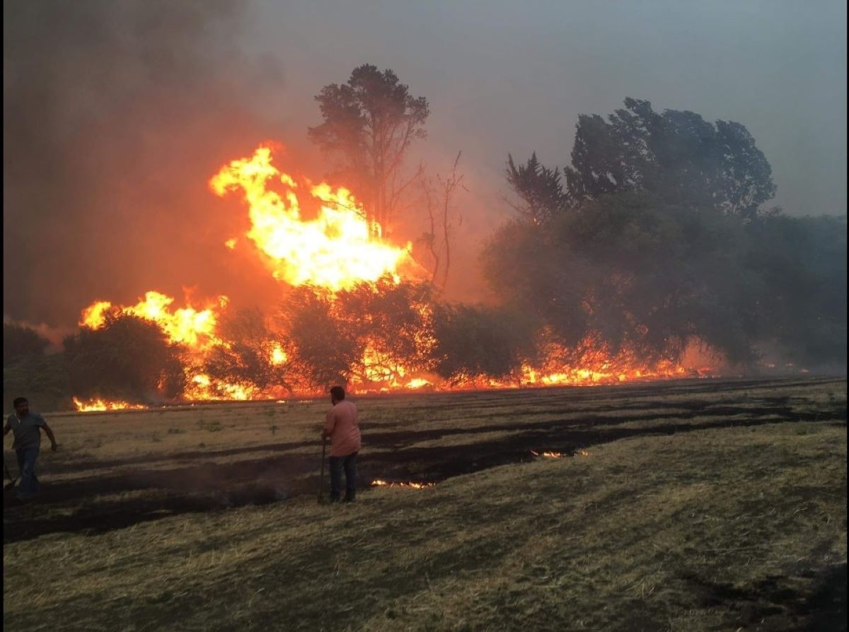 Aún hay personas no reportadas tras los incendios (InfoChucao)