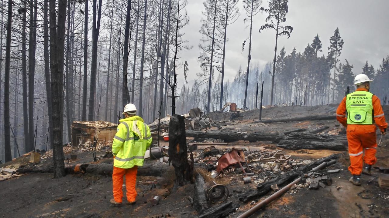 El Gobierno y Bomberos trabajan en estrategias de prevención de incendios forestales