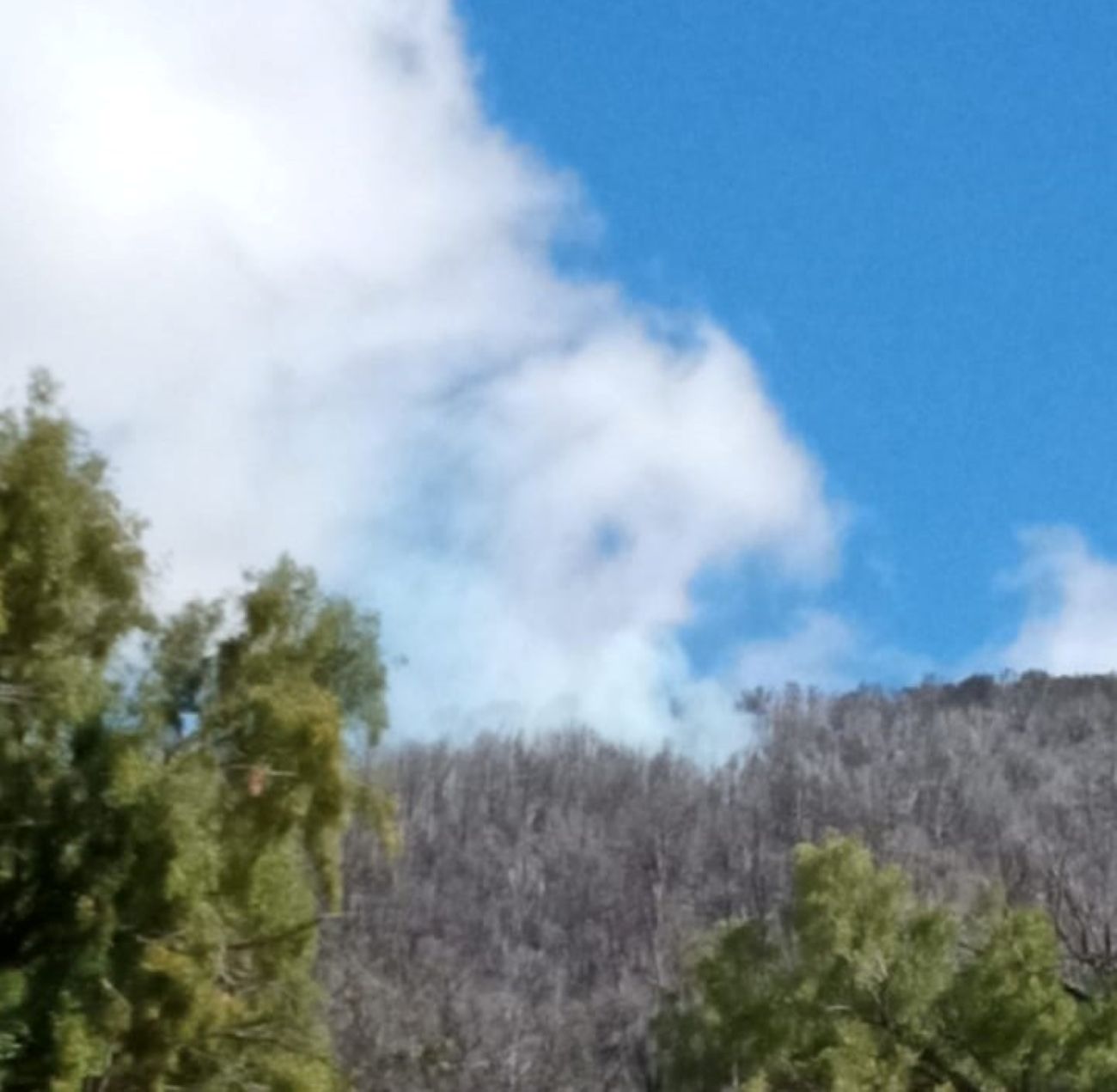 Se desató un incendio en el Parque Nacional Los Alerces (Parque Nacional Los Alerces)