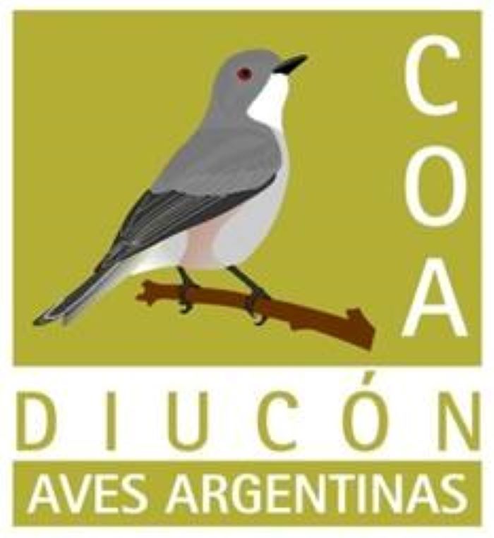 COA Diucón elige el ave emblema de Esquel