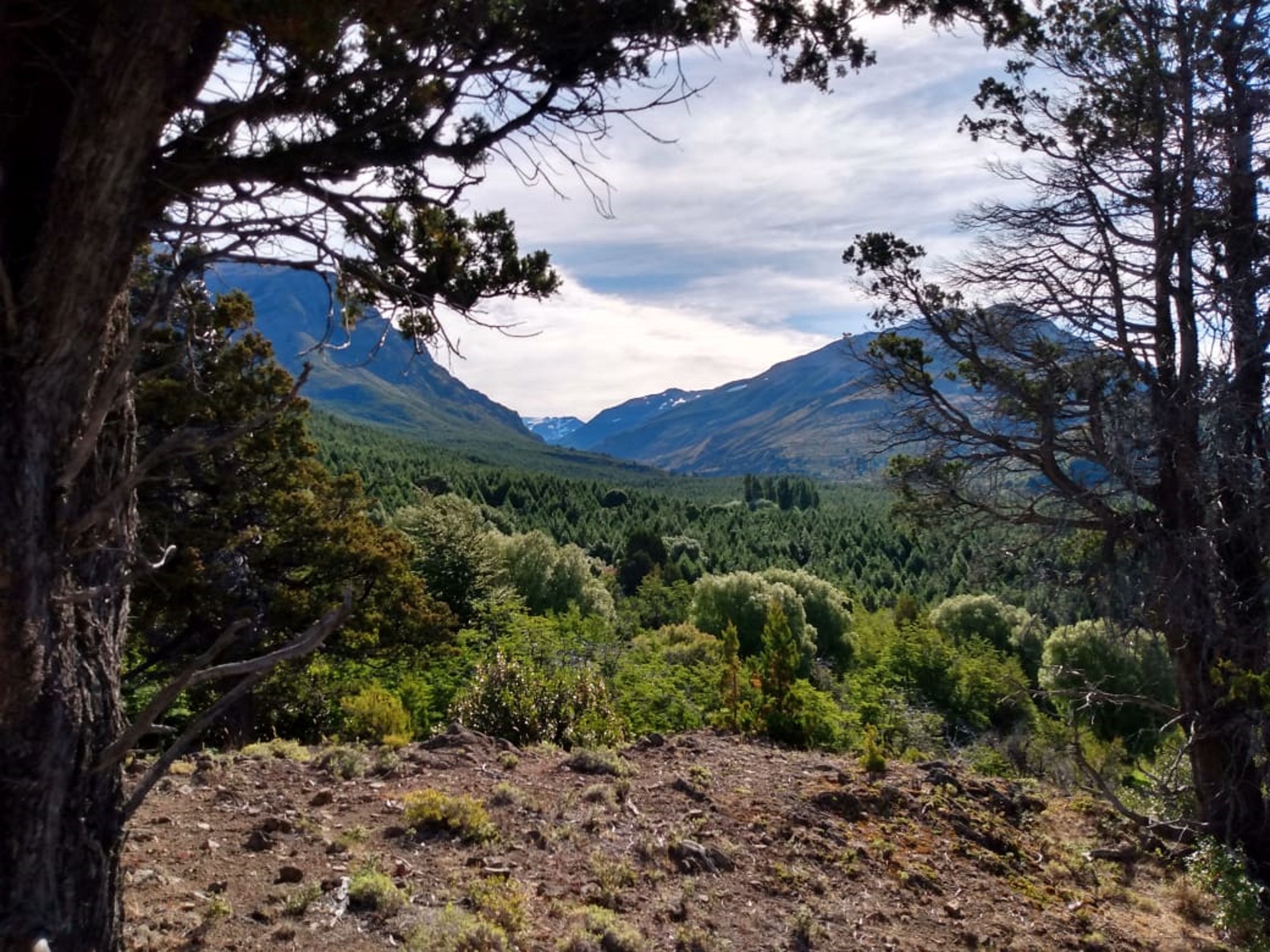 Sábado con cielo nublado y máxima de 12 grados en Esquel