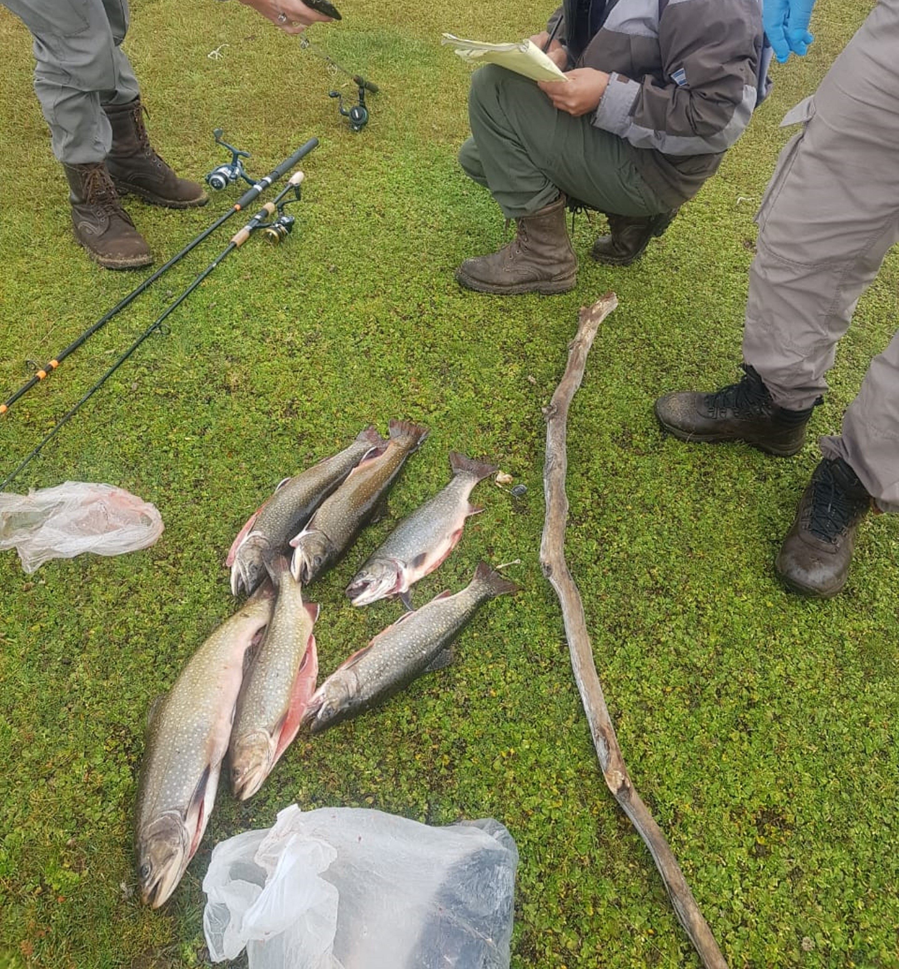 En un operativo en Corcovado secuestraron cañas y equipos de pesca
