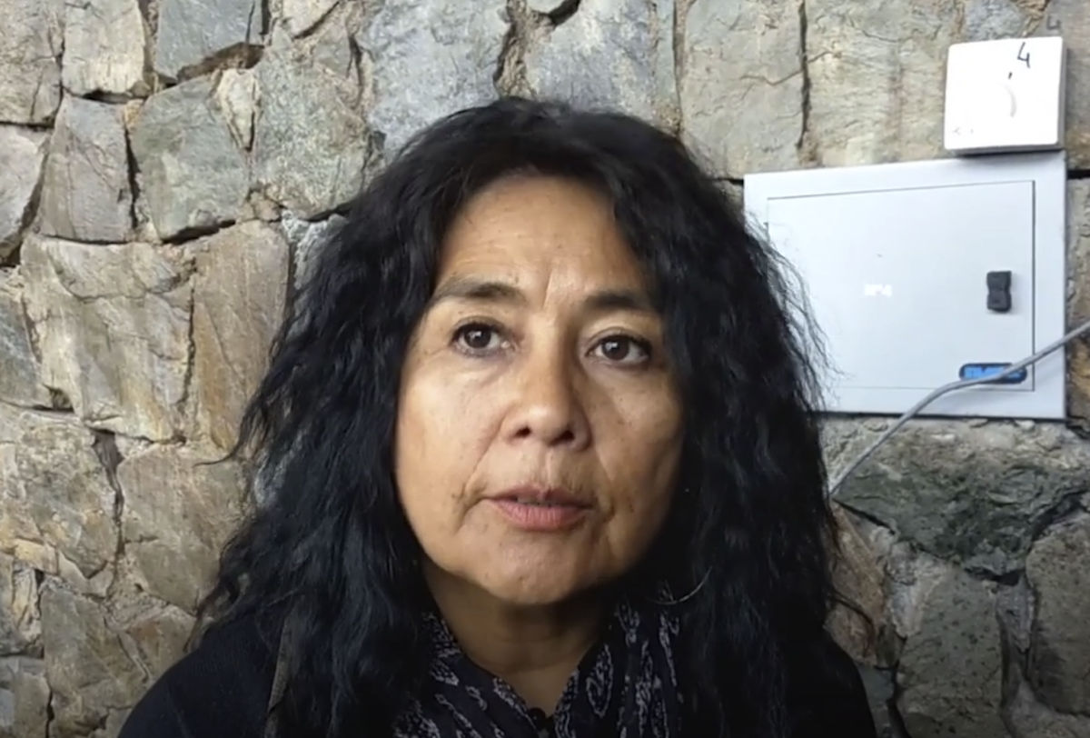 Mariela Llanquinao, abogada del movimiento No a la Mina