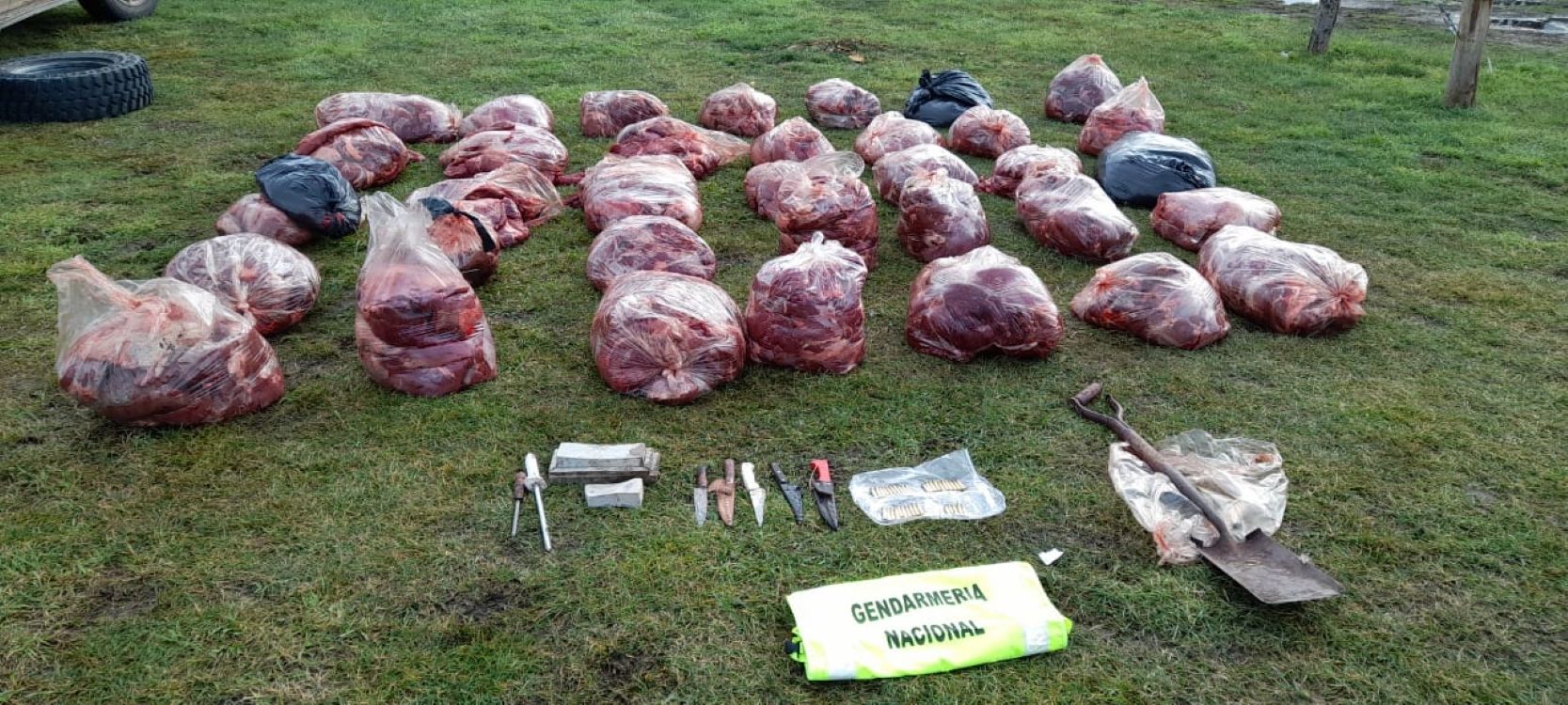 En menos de dos meses le secuestraron más de una tonelada de carne de guanaco (Gendarmería Nacional)