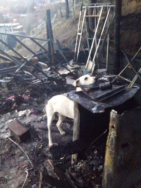 Lo sorprendió el fuego mientras dormía, logró salir a tiempo