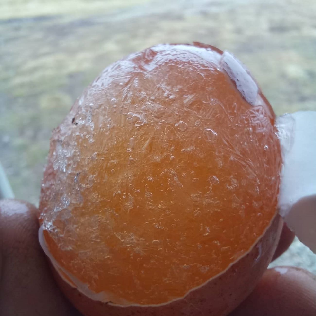 Ola Polar: En Trevelin se congelaron hasta los huevos (Valle Andino (Facebook))