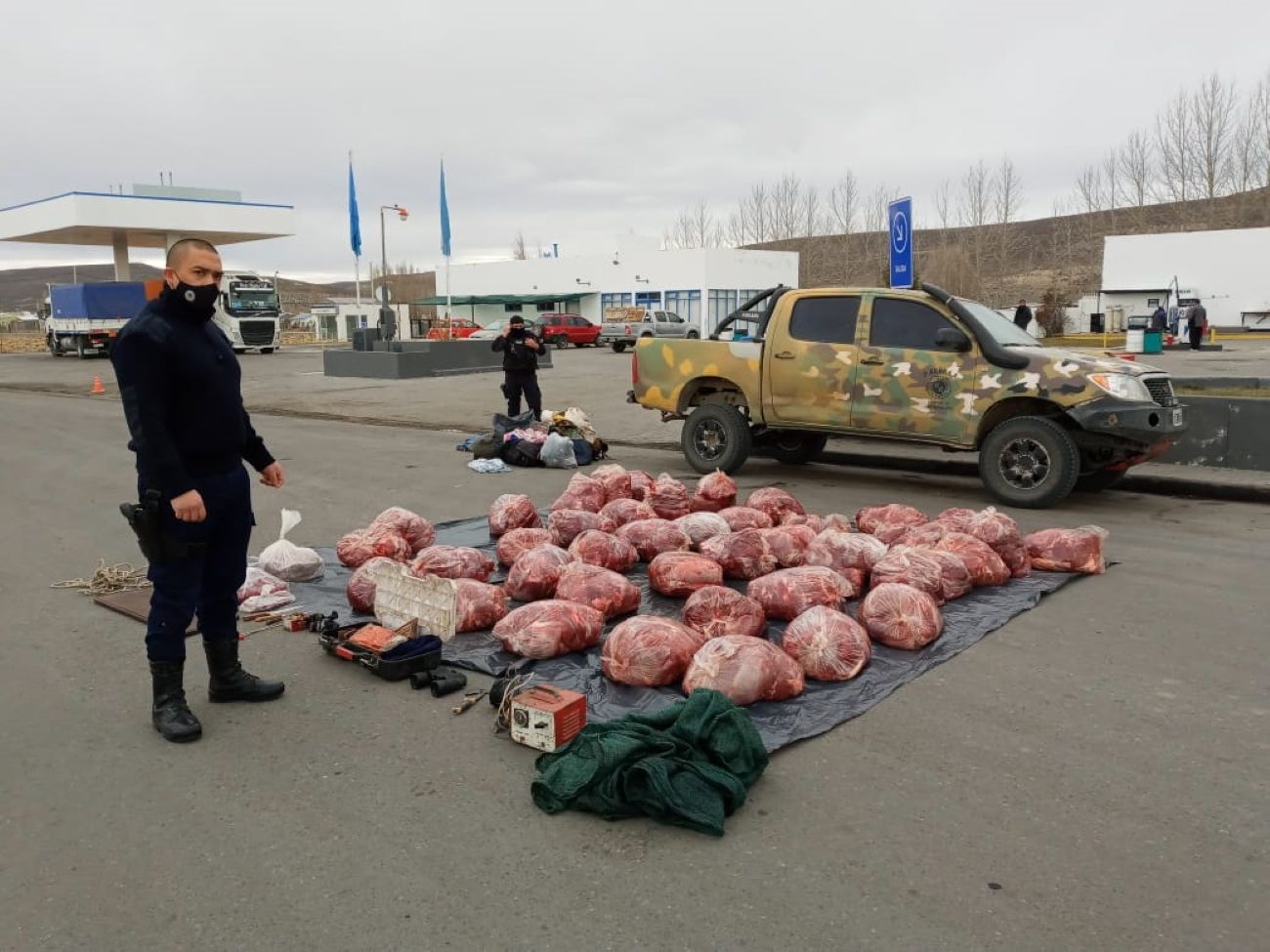 Importante secuestro de carne de guanaco y choike en Tecka (Policía del Chubut)