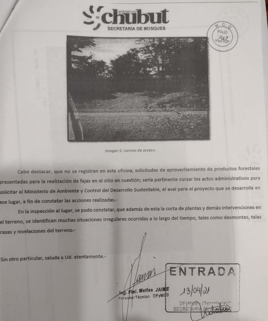 Bosques advirtió el corte de 1128 especies nativas en Monte Bianco