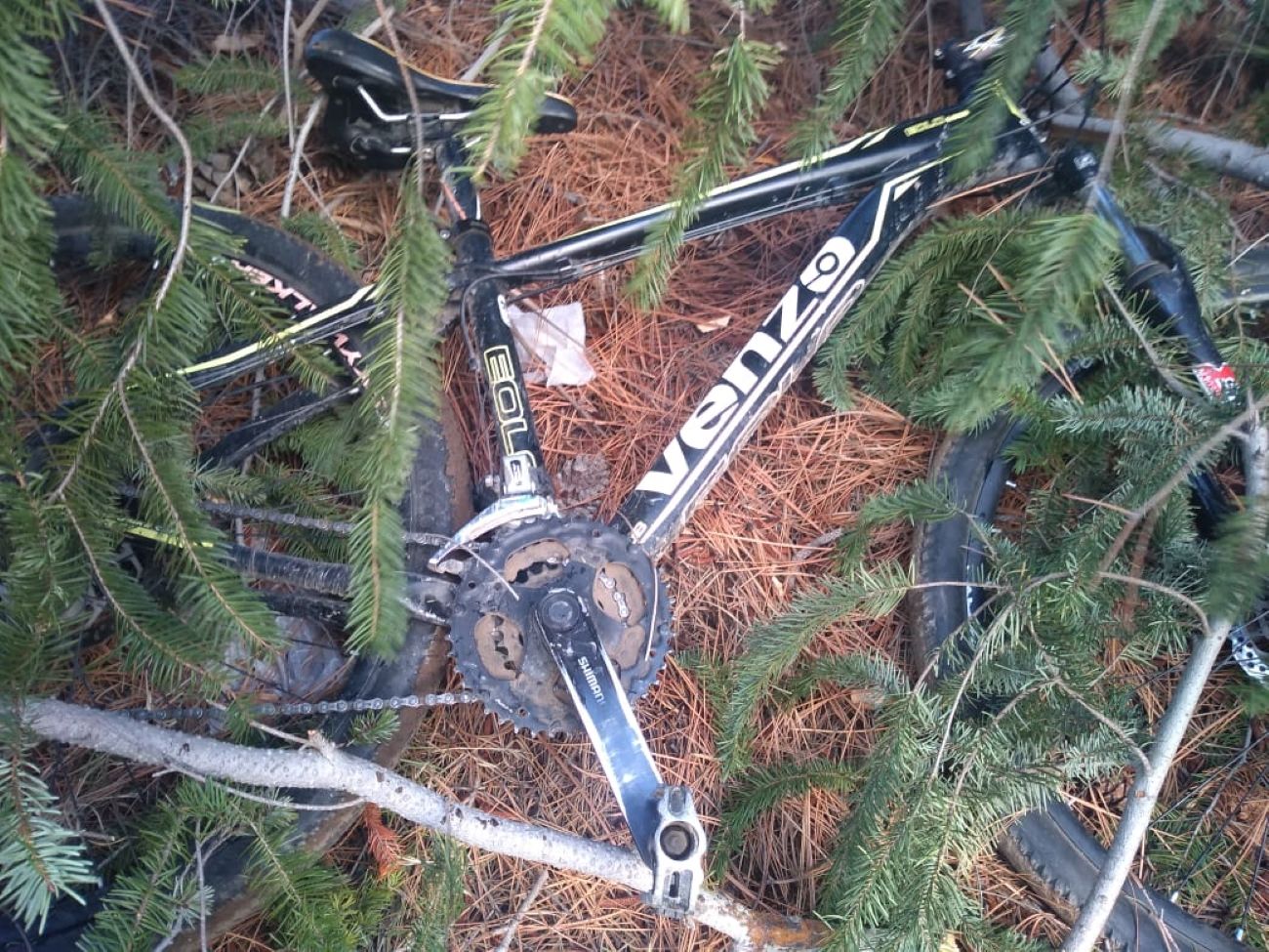 Esquel: Una mujer encontró entre unos pinos una bicicleta que habría sido robada (Policía del Chubut)