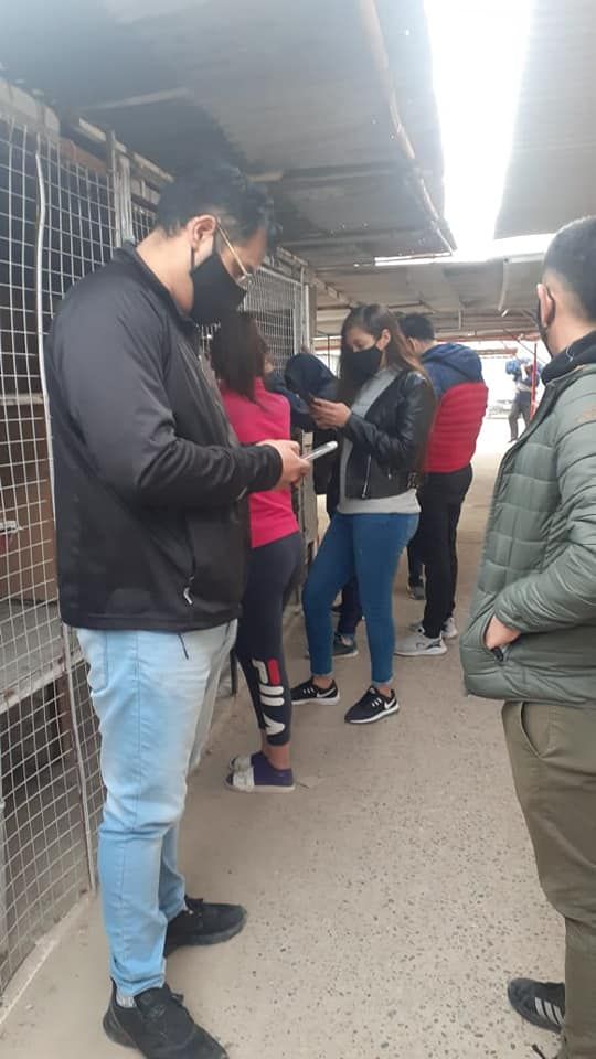 Por una causa de sextorsión detuvieron a una pareja