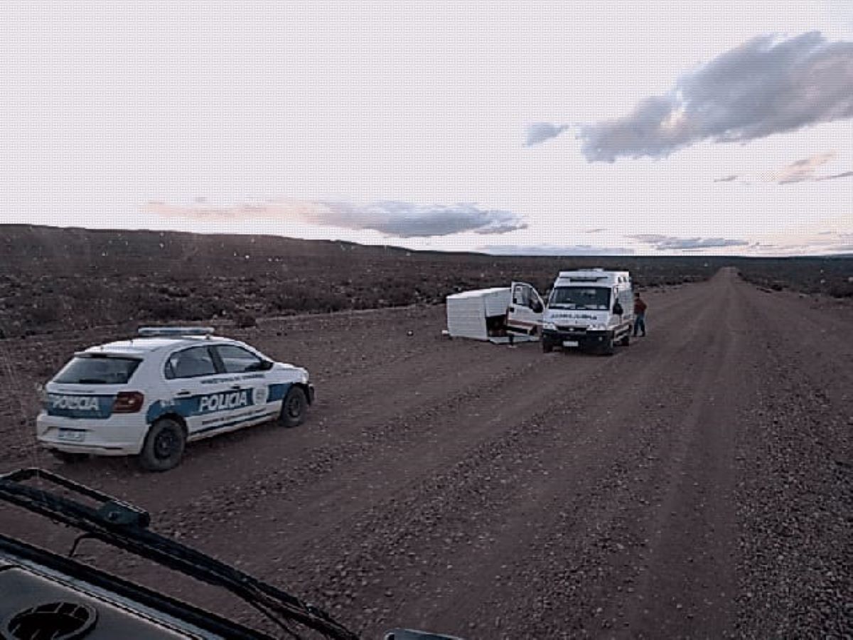 Se les cruzó un guanaco y terminaron volcando en la ruta