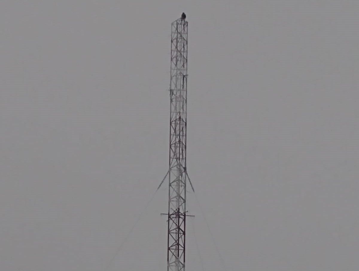 Se subió a una antena de 120 metros para hacer Parkour
