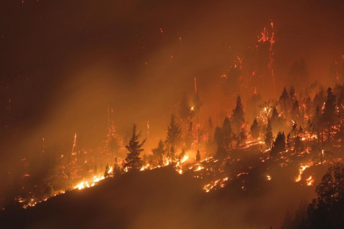 Declararon la Emergencia Agropecuaria por los incendios en la comarca (InfoChucao)