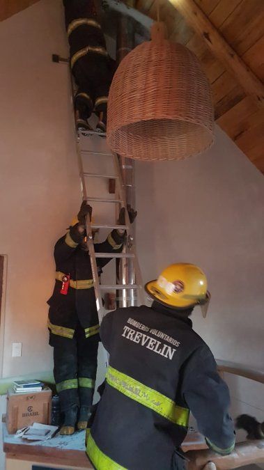 Trevelin: Fue solo un susto, se prendió fuego la chimenea de una casa