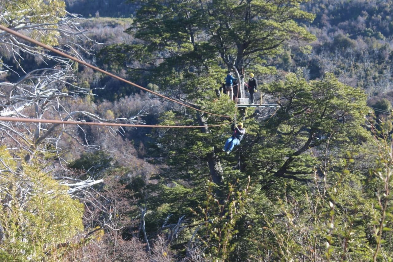 Canopy: otra propuesta turística para conocer en la zona (Municipalidad de Trevelin)