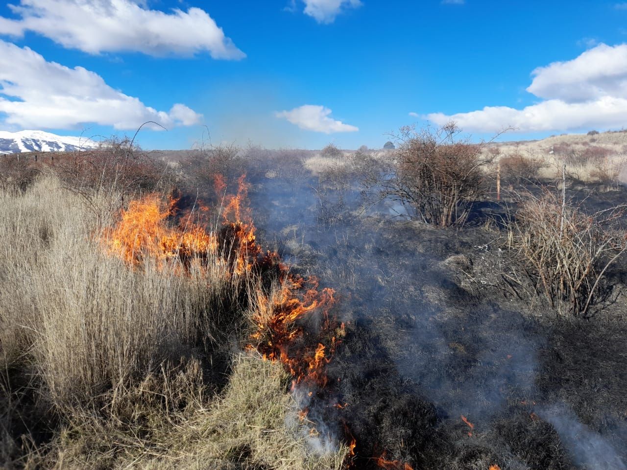 Trevelin: el incendio de un pastizal causó alarma (Policía del Chubut)