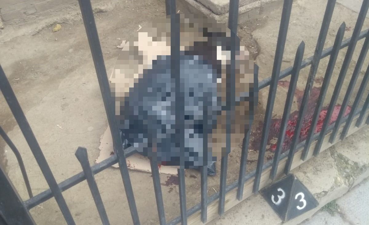 Una pelea entre perros y sus dueños terminó con un pitbull apuñalado (Policía del Chubut)
