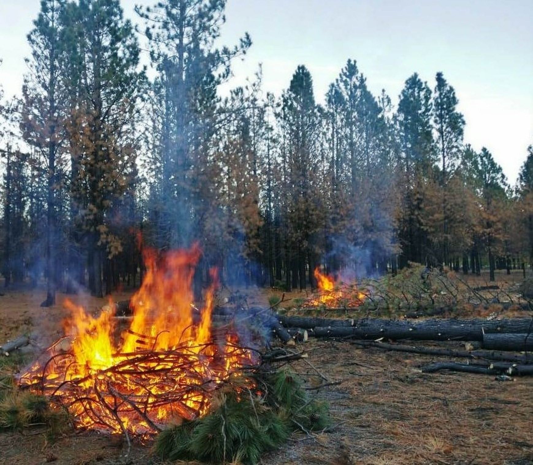 Foto ilustrativa