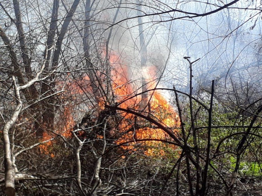 Sofocan incendio provocado por una quema descontrolada