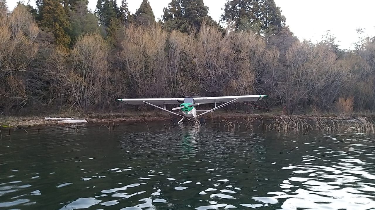 Accidente aéreo: "Se les apagó el motor, lo que hizo que cayeran sobre el lago"