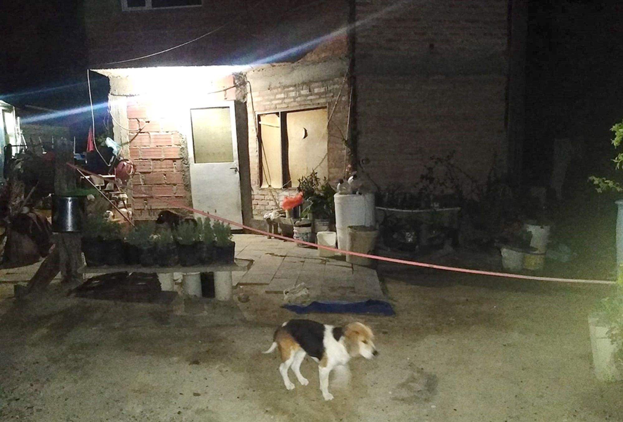 Femicidio: Mató a la suegra, le dejó clavado un cuchillo en la espalda y está prófugo