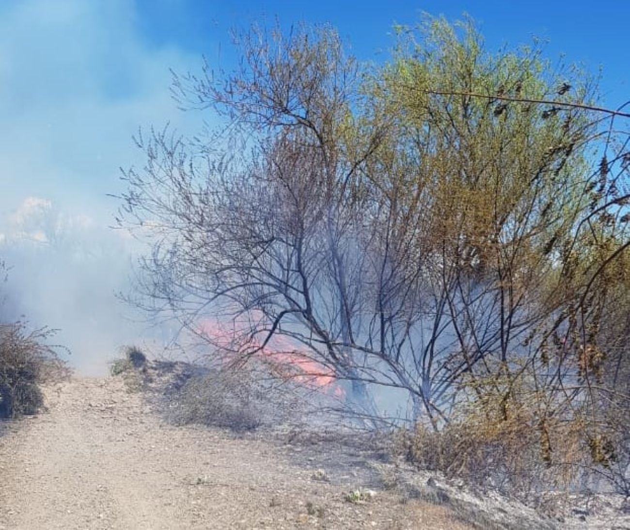 Trevelin: Sofocan incendio en la costanera del Río Percy (Policía del Chubut)