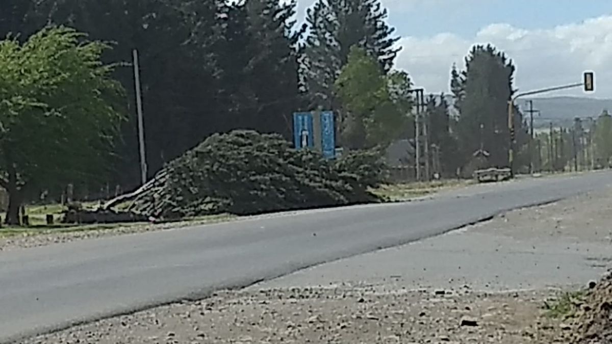 Volvió la luz, pero el viento sigue: habilitaron líneas de emergencia en Esquel