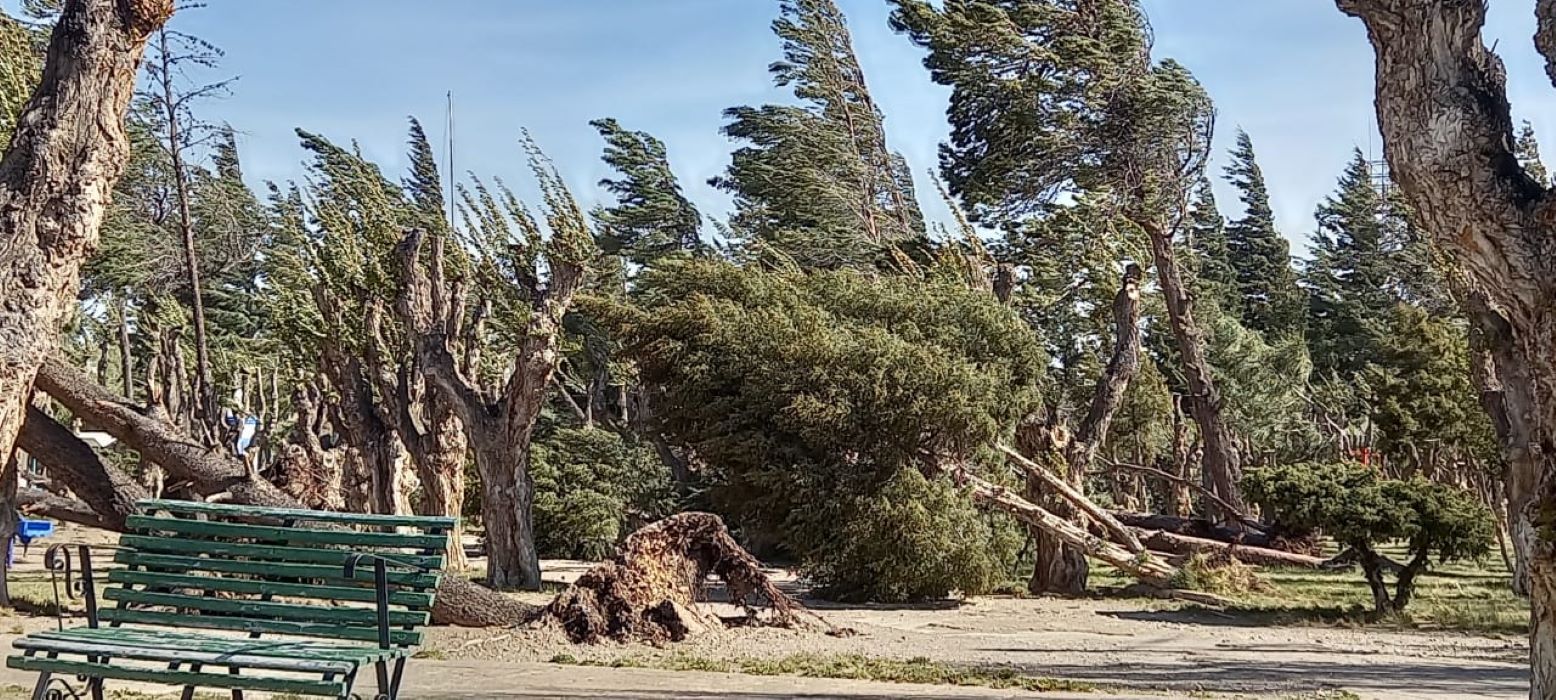 Alerta roja por fuertes vientos en Chubut.