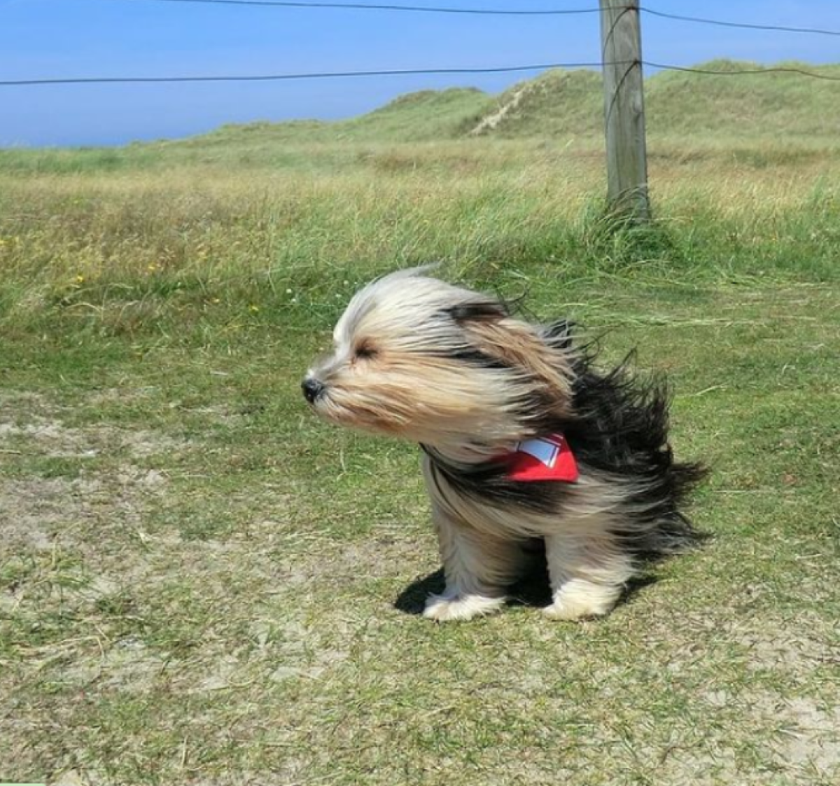 Comienzo de semana con viento intenso ¿Cómo sigue este lunes?