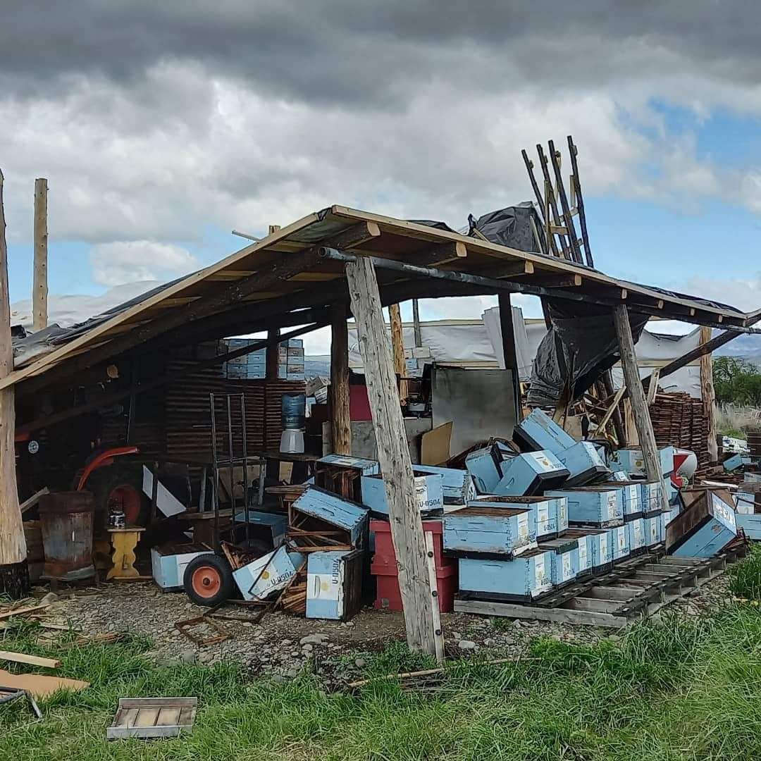 El viento destruyó el galpón de un establecimiento apícola de Trevelin