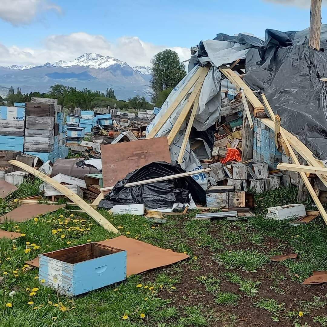 El viento destruyó el galpón de un establecimiento apícola de Trevelin