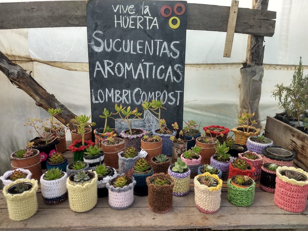 "Vive la Huerta" un espacio de contención, rehabilitación y salida laboral